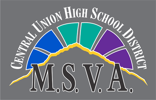 New MSVA Logo